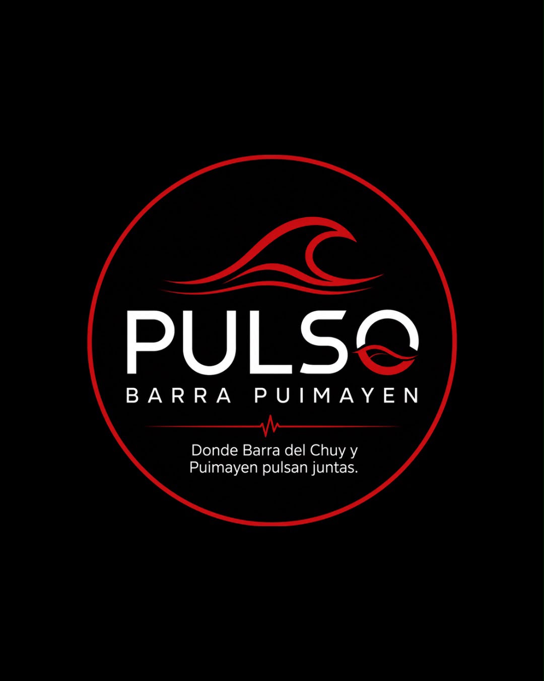 Pulso Barra Puimayen
